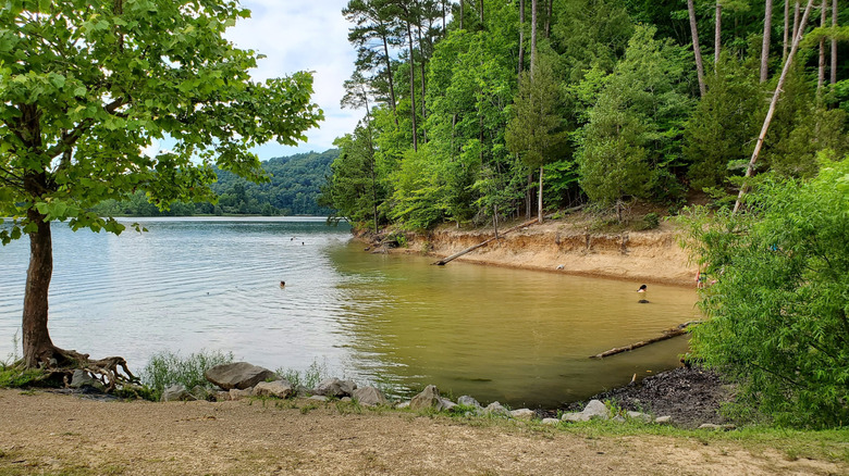 A quiet lakeside swimming area at Paintsville Lake State Park in Paintsville, Kentucky