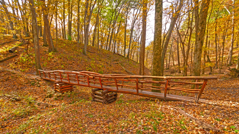 autumn colors at Palisades-Kepler State Park