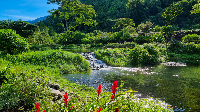 Lake near Boquete in Chiriqui, Panama