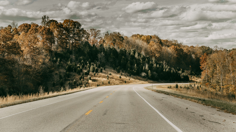 View of a highway surrounded by trees in fall