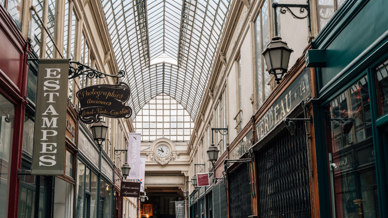View of a coverage passage in Paris, France