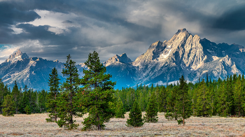 The Grand Tetons
