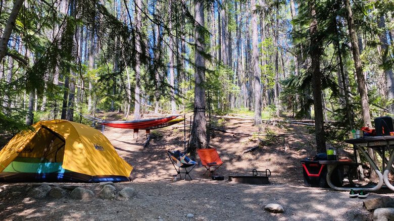 Colorful tents, kayaks, and bags against trees at the Fish Creek Campground