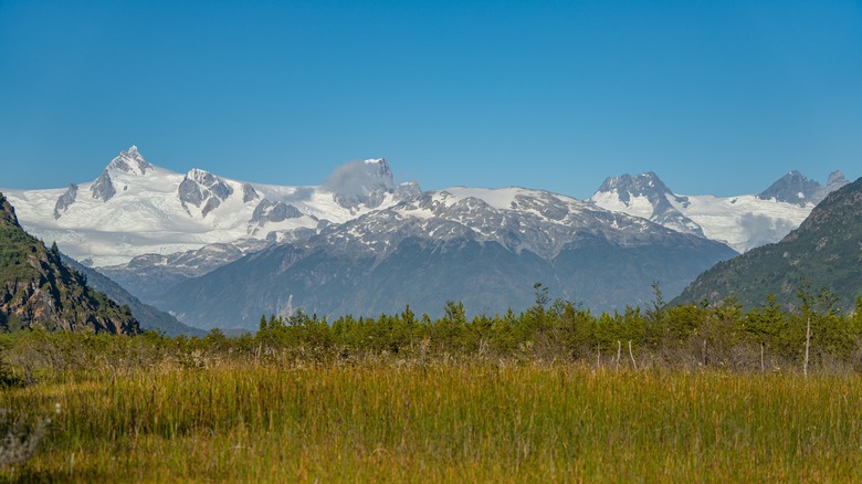 Monte San Valentin above the forests of parque nacional laguna san rafael