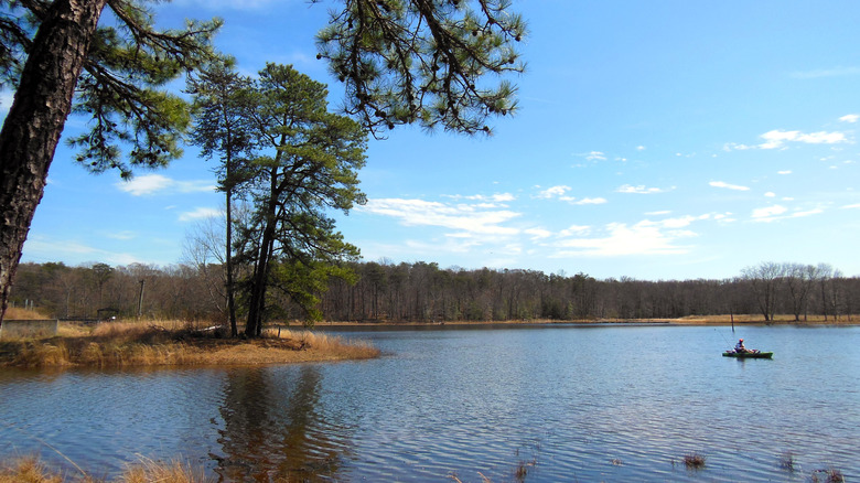 View of one of many small lakes in the Patuxent Research Refuge in Maryland