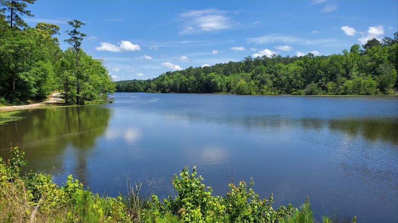 Valley Creek Lake at Paul Grist State Park, Alabama, surrounded by trees