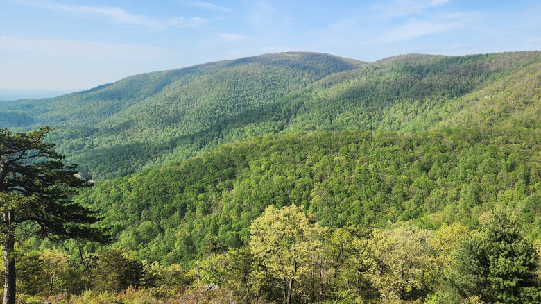 A view of the Blue Ridge Mountains, Virginia