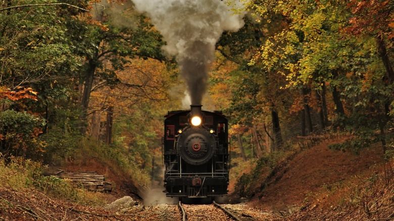 New Hope train surrounded by fall foliage