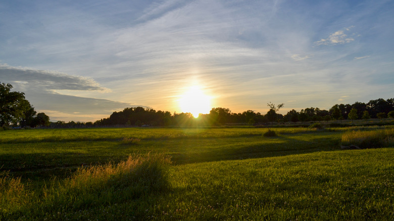 Sunset from Benjamin Rush State Park, Philadelphia, Pennsylvania