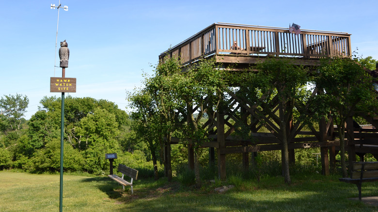 Birdwatching overlook nestled among trees in Fort Washington State Park, Pennsylvania