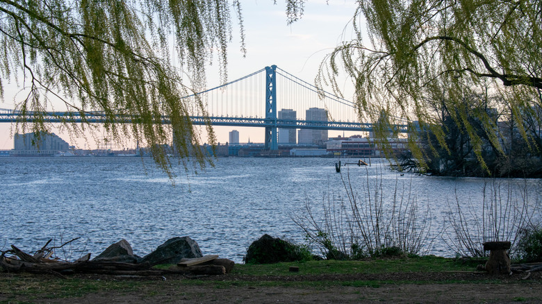 View through trees at the Ben Franklin Bridge from Penn Treaty Park, Philadelphia, Pennsylvania