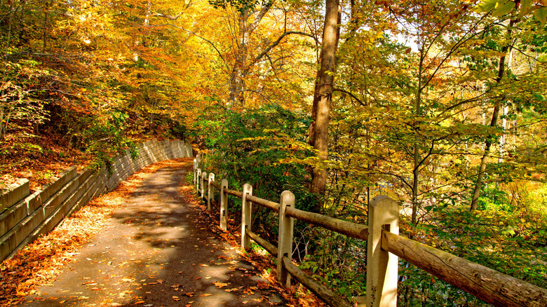 Foot and bicycle path underneath a canopy of fall colors, Pennypack Park, Philadelphia, Pennsylvania