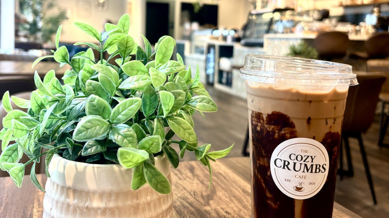 A specialty latte drink next to a potted plant at the Cozy Crumbs