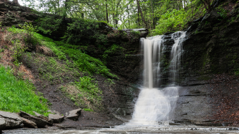 Waterfall cascades over black rocks surrounded by green foliage in Fall Run Park