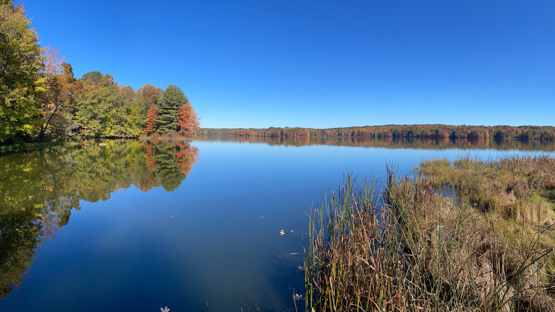 Blue waters of Lake Wilhelm surrounded by autumn foliage under a blue sky