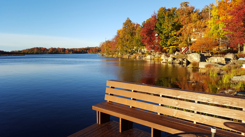Wooden bench on a dock beside the blue waters of Lake Tobyhanna, with a rocky shore and autumn trees in the background