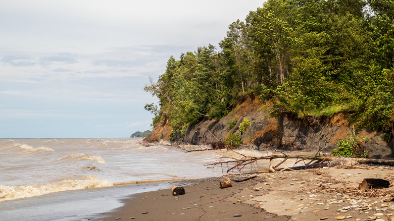 A view of bluffs and shoreline at Erie Bluffs State Park