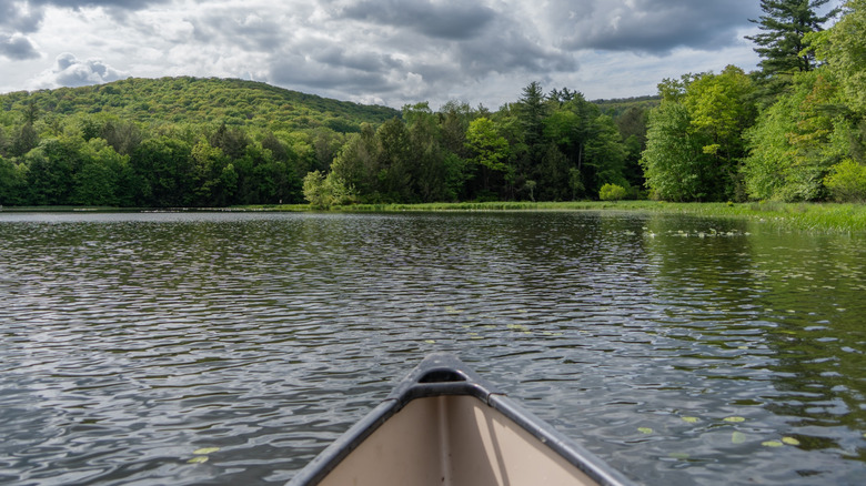 A view of the water from the inside of a kayak on Rose Valley Lake in Gamble Township, Lycoming County, Pennsylvania