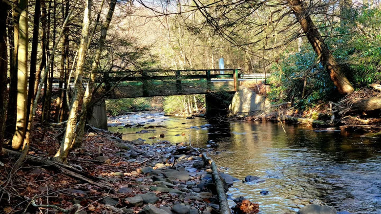 Bridge and creek at the Rail Gap Nature Preserve in Pennsylvania