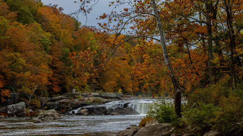 Youghiogheny river of the ohiopyle state park in fall