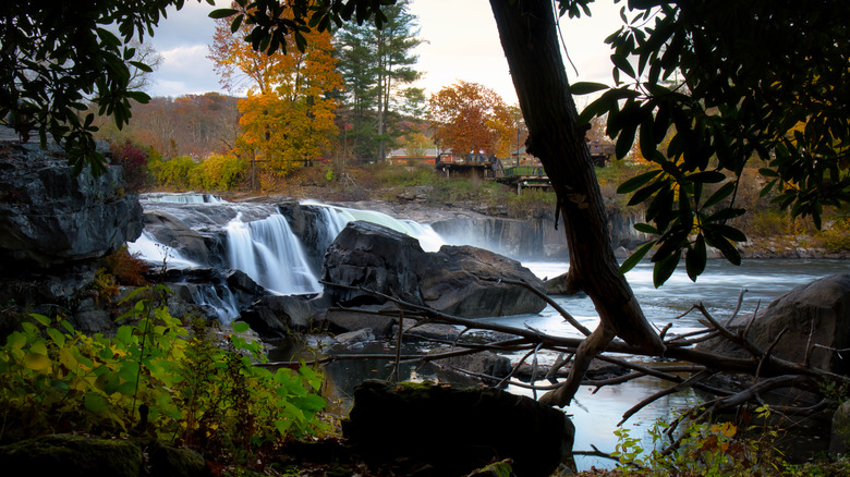 autumn beginnings at ohiopyle state park
