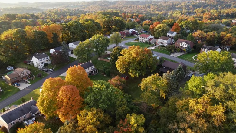 Bethel Park residential neighborhoods in autumn