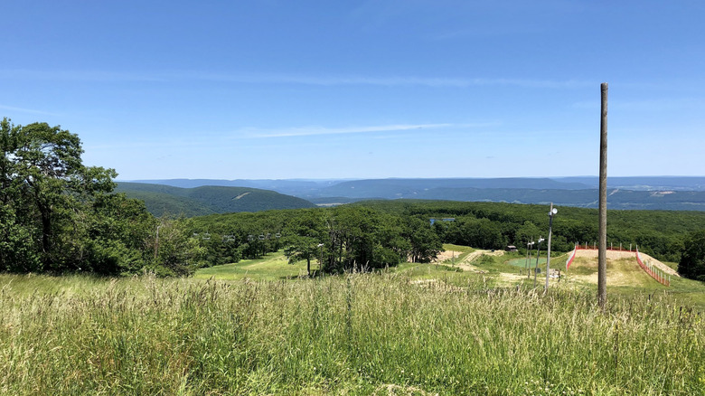 Grass and trees at Blue Knob All Seasons Resort sports area in summer