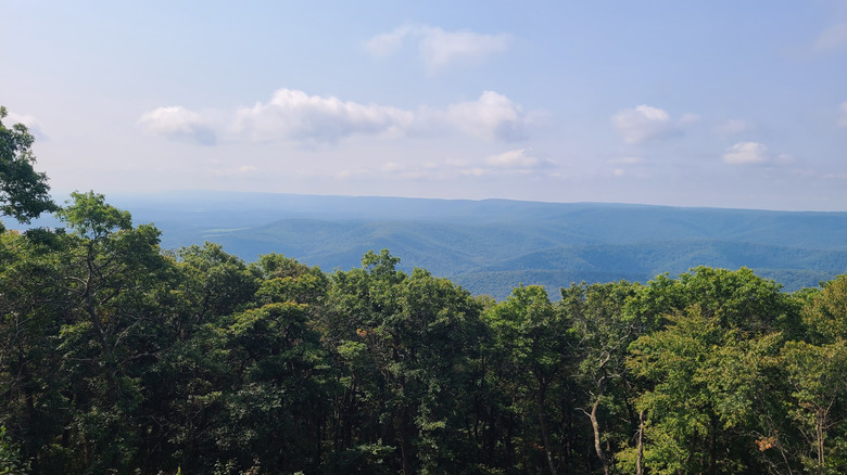 Trees and mountains in the distance from a viewpoint at Blue Knob State Park, Pennsylvania