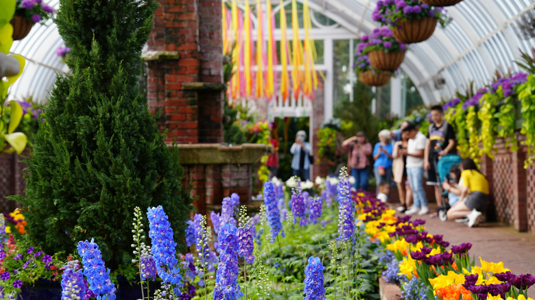 Visitors take photos of a flower display at Phipps Conservatory and Botanical Gardens, Pittsburgh