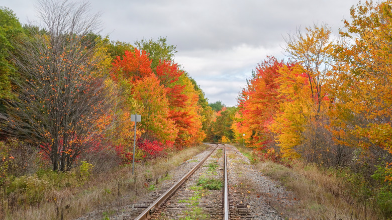 Railroad tracks with fall foliage, Pennsylvania
