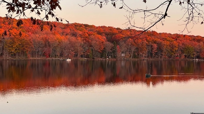 A boy kayaks on a lake in the Poconos