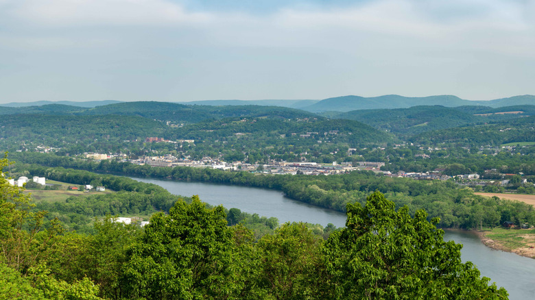 Panoramic view of Williamsport, Pennsylvania featuring forested mountains.