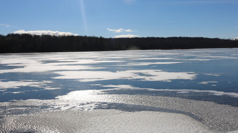 The frozen surface of Promised Land Lake during a sunny winter day.