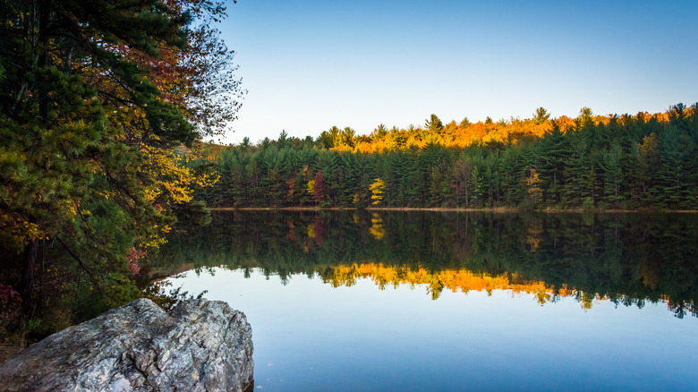 Autumn tree reflection in water at Long Pine Run Reservoir in Pennsylvania