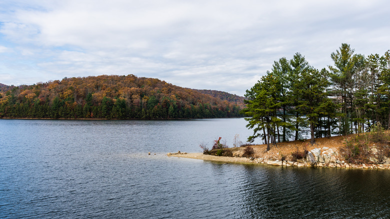 view of water and forest at Long Pine Run Reservoir in Pennsylvania