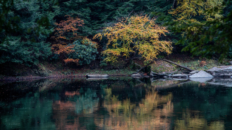 Clarion River in the fall
