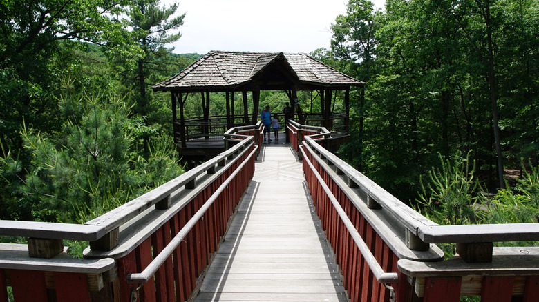 Boardwalk leading to the Dave Wenzel Treehouse in Nay Aug Park.