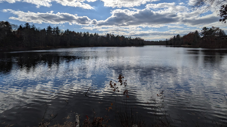 lake view in Mount Pocono