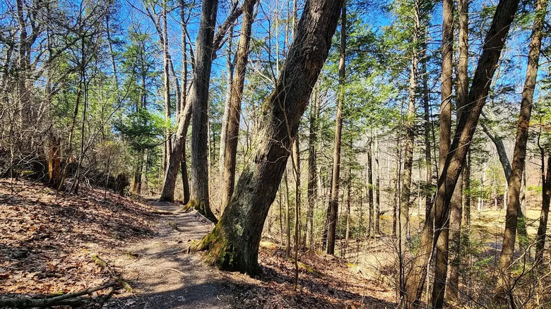 Hiking trail near Jacobsburg Environmental Education Center in Wind Gap