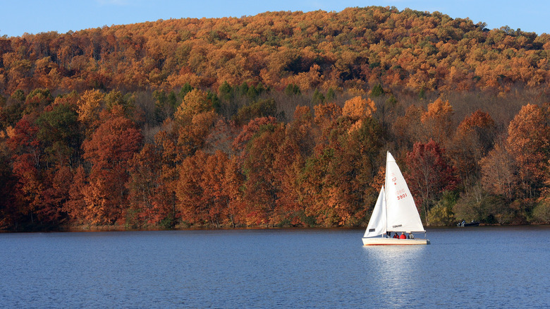 Sailboat on Lake Nockamixon with fall foliage in the background