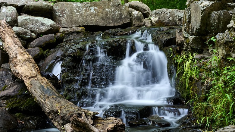 Small waterfall on the Old Mill Trail in Nockamixon State Park