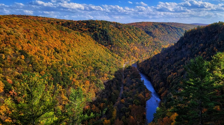 Fall foliage on Pennsylvania's Pine Creek Gorge