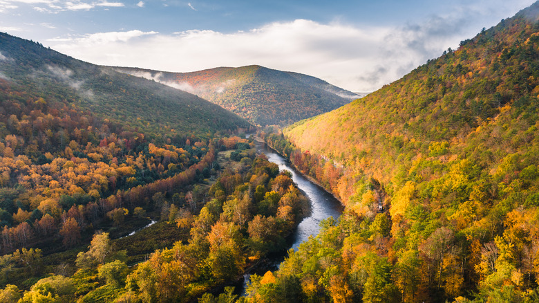 Pine Creek Gorge in the fall