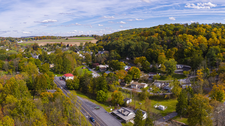 Colorful fall trees in Pennsylvania
