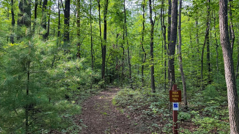 Rock Scree Trail surrounded by lush greenery at Kings Gap Environmental Education Center, Pennsylvania