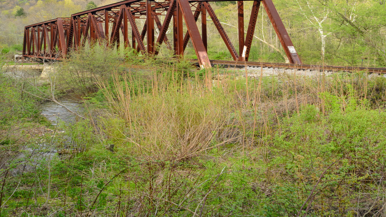 A rustic bridge over Oil Creek
