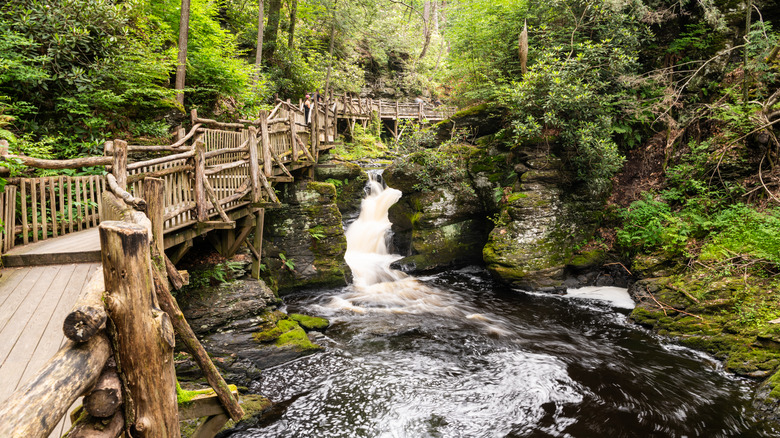 Delaware Water Gap in Pennsylvania