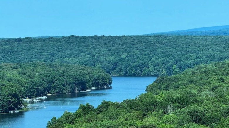 Aerial view of the lake and trees at Prince Gallitzin State Park