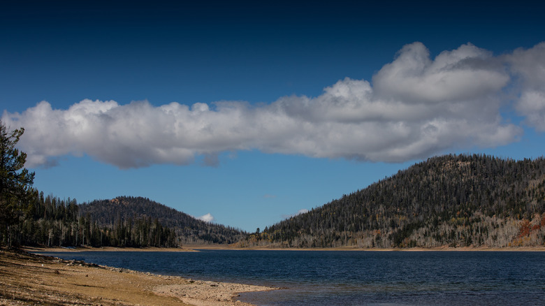 Glendale Lake surrounding landscape and views