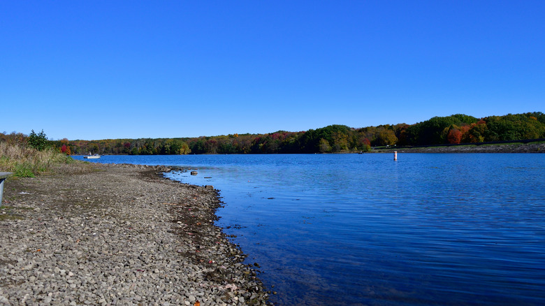 Pymatuning Reservoir in Pennsylvania's Pymatuning State Park, surrounded by fall colors